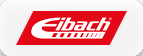 Eibach Springs