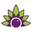 Sambazon Sambazon
